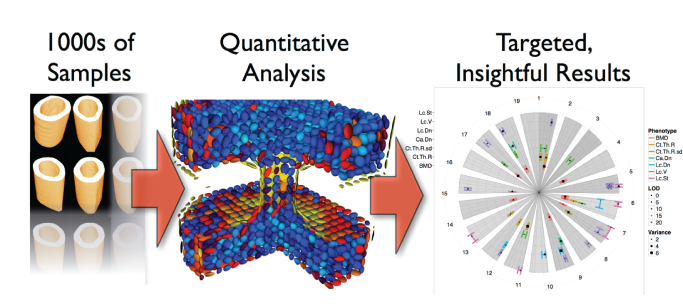 4Quant